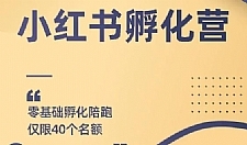 勇哥小红书撸金快速起量项目：教你如何快速起号获得曝光，做到月躺赚在 3000+